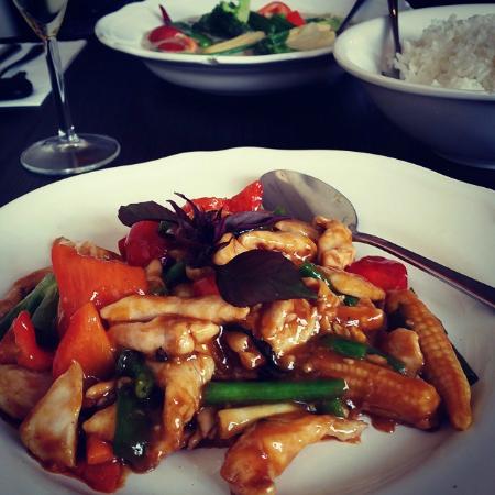 Urban Duck - Dentist Search 0