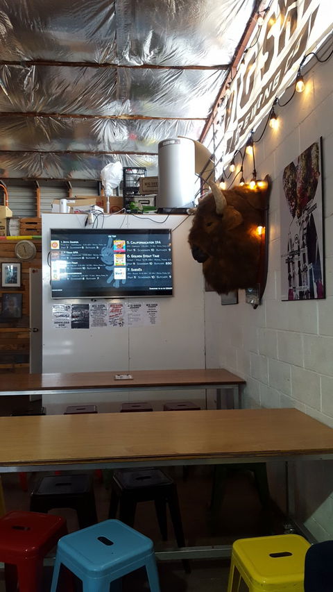 Big Shed Brewing Company - Dentist Find 3