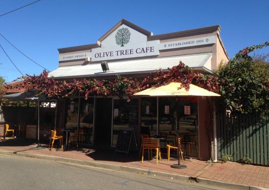 Olive Tree Caffe