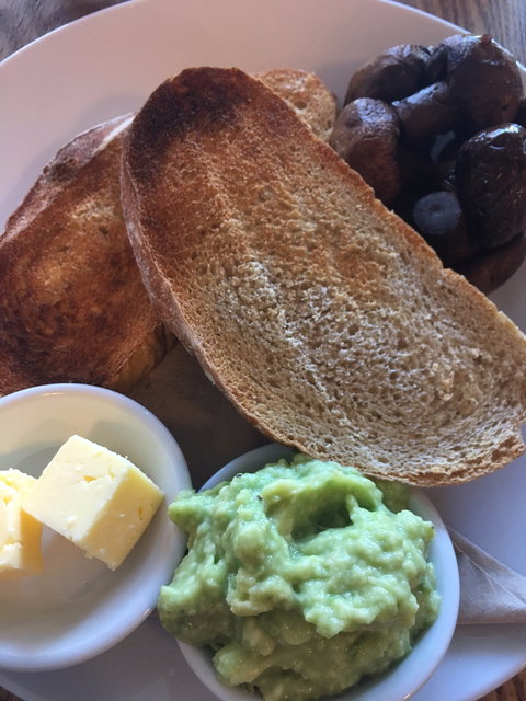 The Organik Store & Cafe - Dentist Find 2