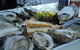 The Oyster Bar Holdfast Shores - thumb 0