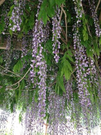 The Topiary Pantry
