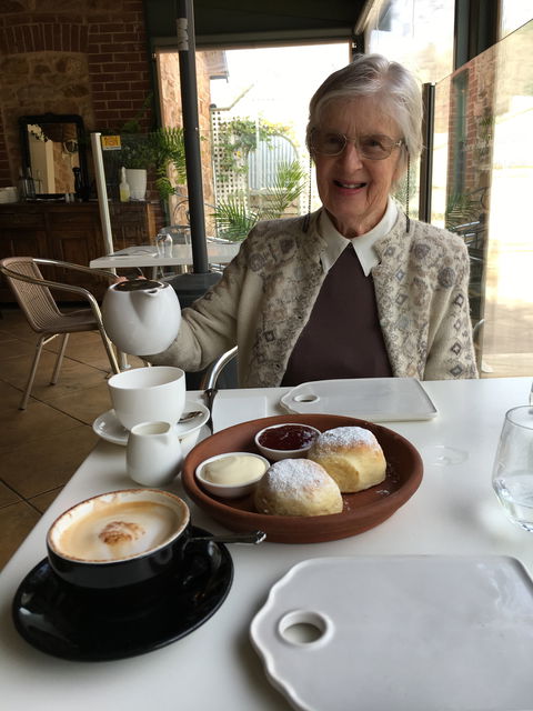 Topiary - Dentist Find 2