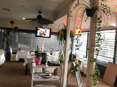 Viet Lotus - Dentist Search 0