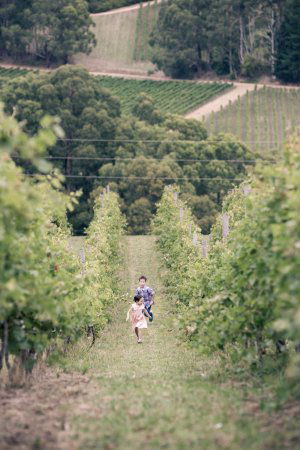 Greenhill Wines