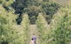 Greenhill Wines - thumb 0