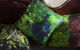 Greenhill Wines - thumb 6