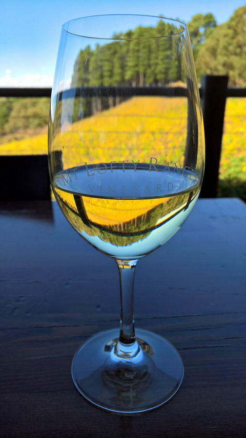 Mt Lofty Ranges Vineyard - Dentist Find 8