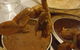 Spice Shot - thumb 1
