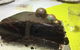 Baker Bear's Bakery - thumb 0