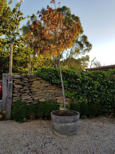 Barristers Block Cellar Door - Dentist Find 7