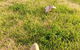 Bombora Goolwa Beach - thumb 1