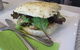 Cafe Lime & Gourmet Foodstore - thumb 0