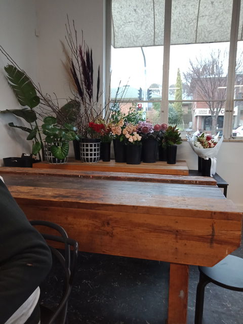Emma & Ivy - Dentist Find 1