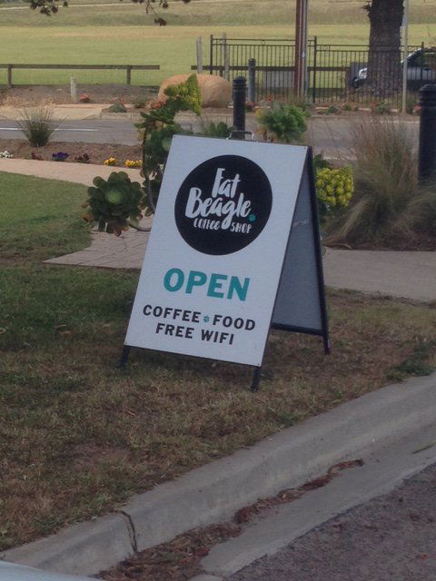 Fat Beagle Coffee Shop - Dentist Find 3