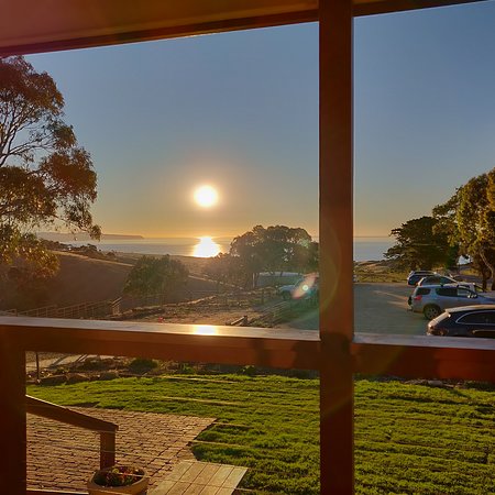 Forktree Brewing - Dentist Find 0