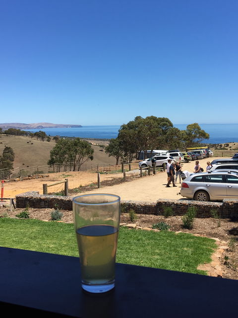 Forktree Brewing - Dentist Find 8