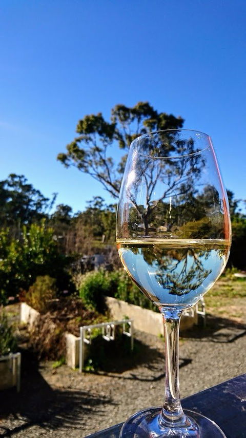 Mocandunda Cellar Door And Restaurant - Dentist Search 3