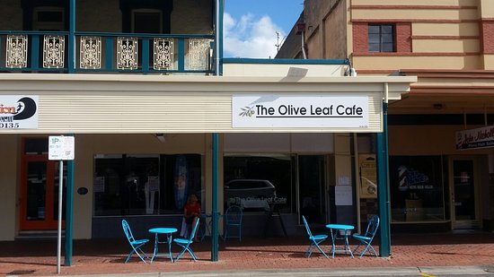 Olive leaf