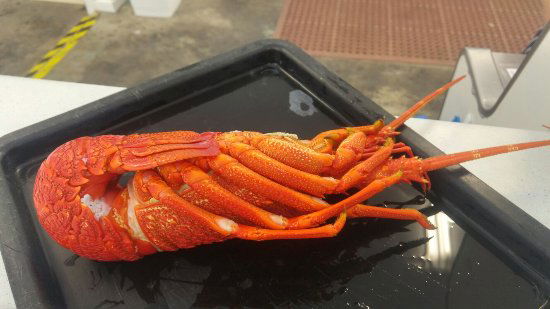 Sky Seafood