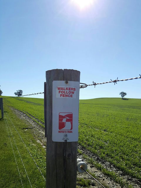 The North Kapunda - Dentist Search 12