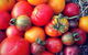 The Seasonal Garden Cafe - thumb 0