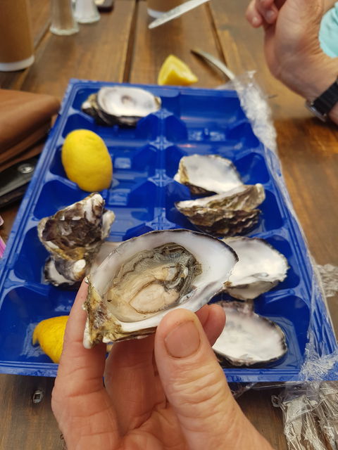 Beachcomber - Dentists Australia 3