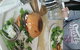 Brown Dog Cafe - thumb 0