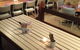 Dingo's Diner William Creek - thumb 2