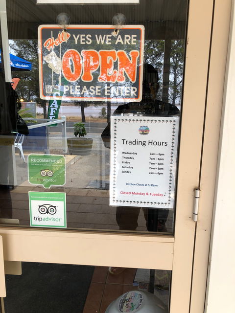 Jitter Bean Oasis - Dentist Find 4