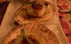 Longtime - thumb 3