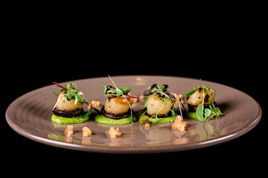 Motion Dining