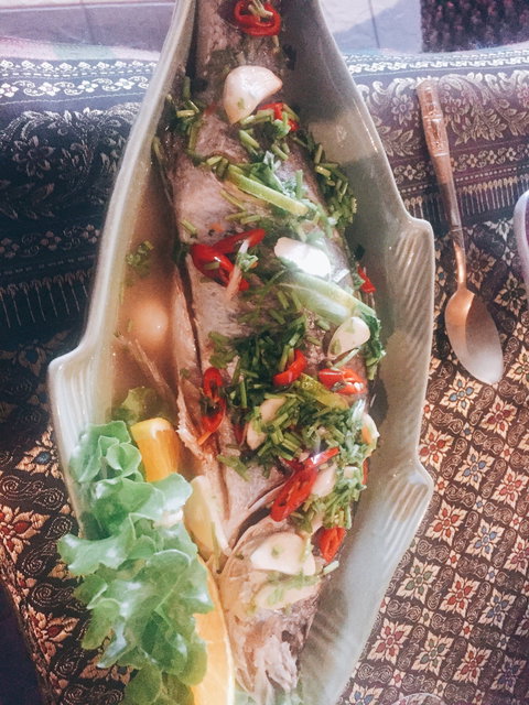 Princess Thai Clayfield - Dentist Find 2
