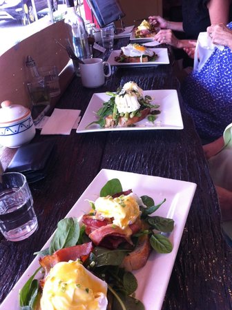 Spring Hill Deli  Cafe