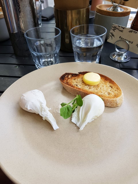 The Croft House Town Kitchen & Bar - Dentist Find 5