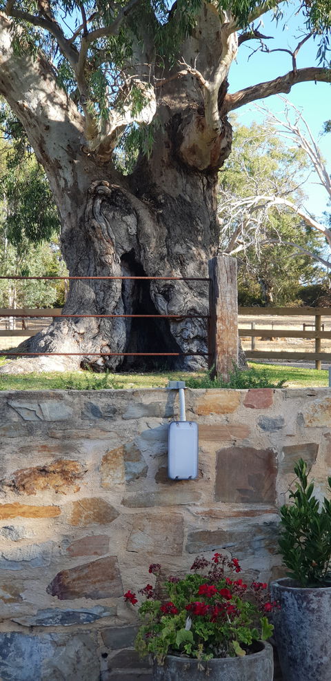 The Greenman Inn - Dentist Find 1