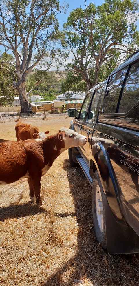 The Greenman Inn - Dentist Find 2