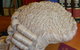 Murphy & Associates Barristers And Solicitors - thumb 0