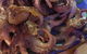 Alachati - thumb 6
