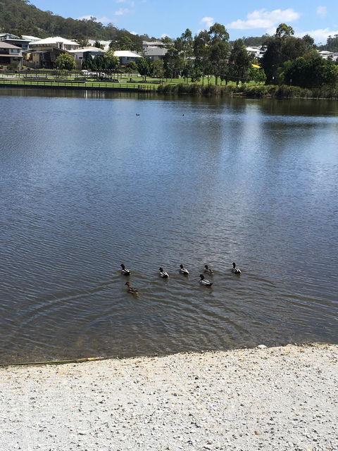 Cafe Two Coomera - Dentist Search 3