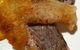 Dine Fine Pty Ltd - thumb 2