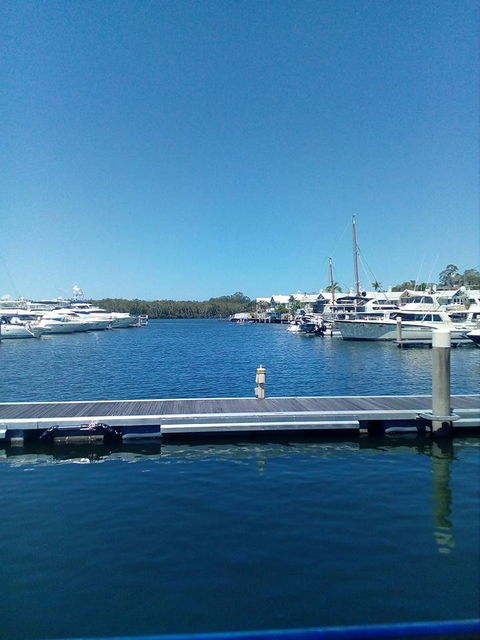 George's Paragon Pizza Wine Bar Sanctuary Cove - Dentist Find 1