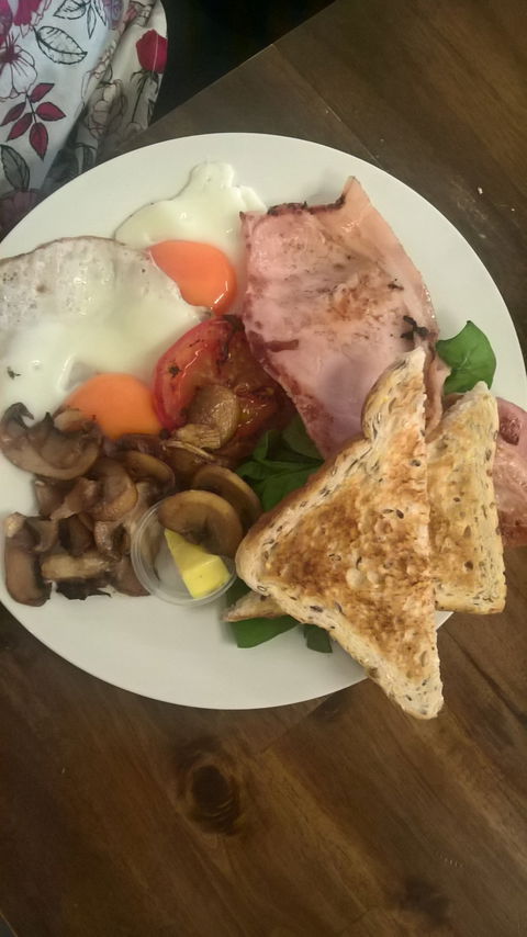 Jay's Food Emporium - Dentist Find 3