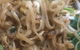 Top Thai Takeaway - thumb 4