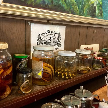 Two Pines Cafe - Dentists Australia 0