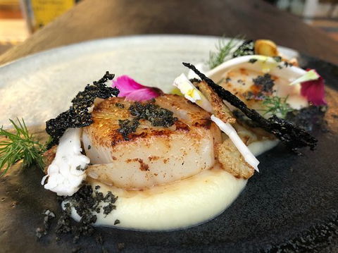 Fusion Art, Bar & Tapas - Dentist Find 0