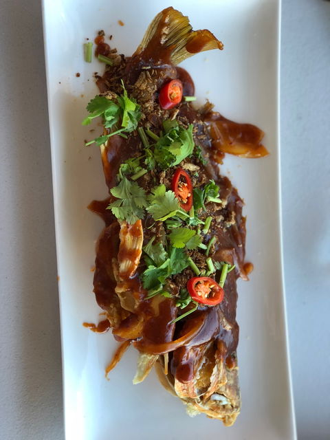 Tia's Cafe In Cairns - Dentist Find 2
