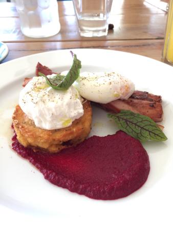 High Tide Bar, Grill And Cafe - Dentist Search 0