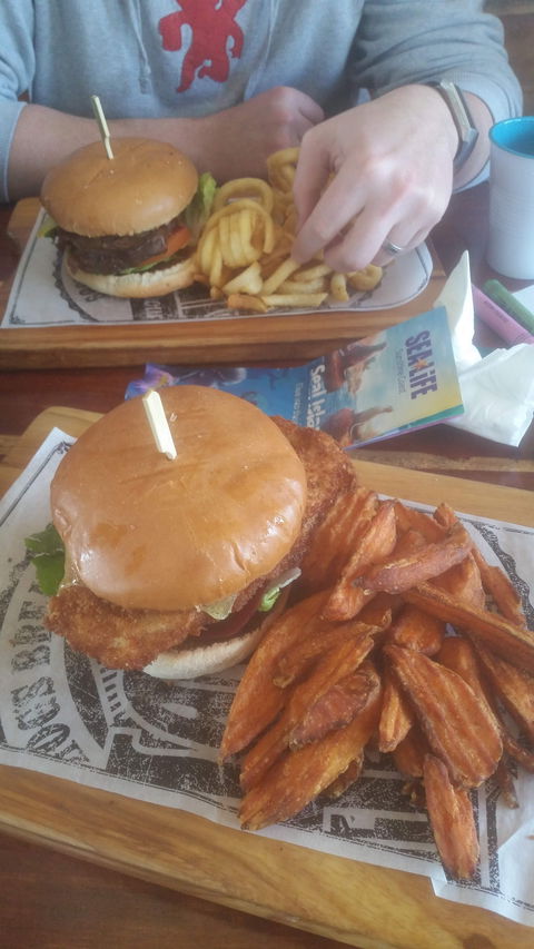 Hog's Breath Cafe Mooloolaba - Dentist Find 2