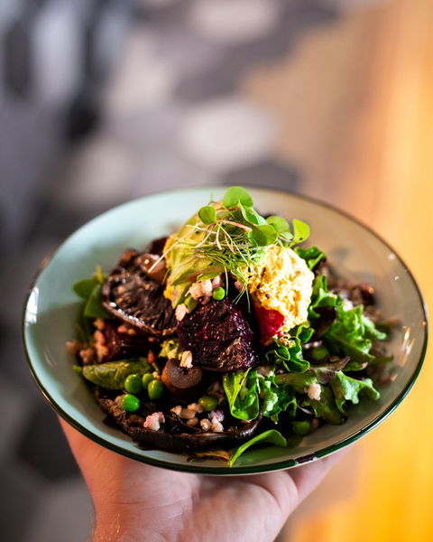 La Finca - Dentist Search 2